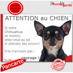 Chihuahua noir et feu poils courts, plaque portail humour "Attention au Chien, Jetez Vous au Sol, attendez secours, courage"