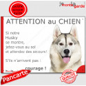 Husky gris, plaque humour "Attention au Chien, Jetez Vous au Sol" 24 cm JET