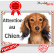 Teckel Poils Longs Fauve, plaque portail horizontal "Attention au chien" pancarte panneau photo