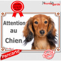 Teckel, plaque portail "Attention au Chien" 24 cm LUX