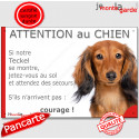 Teckel, plaque humour "Jetez Vous au Sol, Attention au Chien" 24 cm