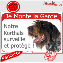 Griffon Korthals tête, plaque portail rouge "Je Monte la Garde, surveille et protège" pancarte panneau photo