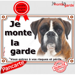 Boxer Fauve marron Tête, plaque portail "Je Monte la Garde, risques et périls" pancarte panneau orange photo