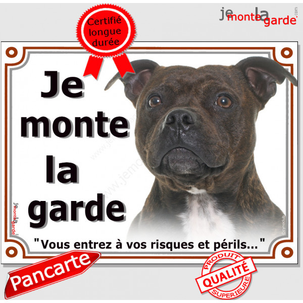 Staffie bringé tête, plaque portail "Je Monte la Garde, risques périls" panneau affiche pancarte, photo staffy zébré