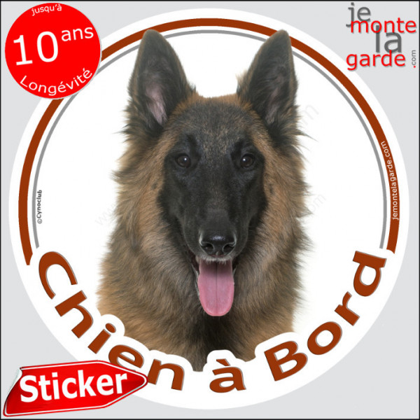 Berger Belge Tervueren Tête, sticker autocollant rond "Chien à Bord" Disque photo adhésif vitre voiture