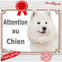 Samoyède, plaque portail "Attention au Chien" 2 Tailles LUX D