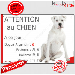 Dogue Argentin Assis, plaque portail humour "Attention au Chien, Nombre de Voleurs, ballons, facteurs" pancarte photo drôle