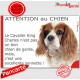 Plaque "Attention au Chien, le Cavalier King Charles blenheim est une excellente sonnette" pancarte photo panneau humour