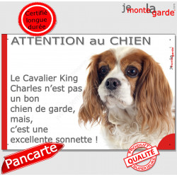 Plaque "Attention au Chien, le Cavalier King Charles blenheim est une excellente sonnette" pancarte photo panneau humour