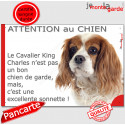 Plaque humour "Attention au Chien, le Cavalier est une sonnette" 24 cm RNG