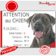 Cane Corso gris gris bleu, Pancarte Portail humour plaque "A ce jour : nombre de Facteurs, Voleurs, Ballons ! attention au chien