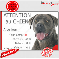 Cane Corso gris gris bleu, Pancarte Portail humour plaque "A ce jour : nombre de Facteurs, Voleurs, Ballons ! attention au chien