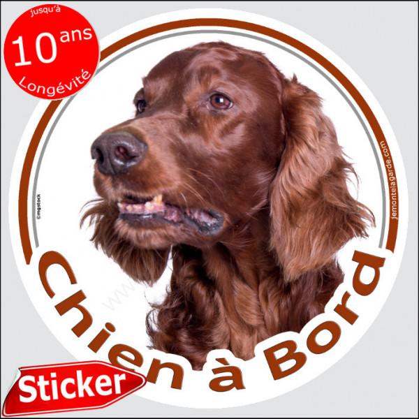 Setter Irlandais marron acajou, sticker autocollant rond "Chien à Bord" adhésif photo vitre voiture