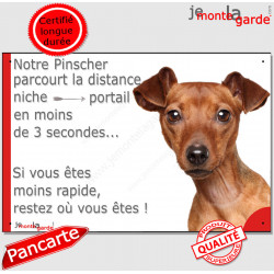 Pinscher Fauve, plaque humour "parcourt distance Niche-Portail moins 3 secondes, rapide" pancarte photo attention au chien