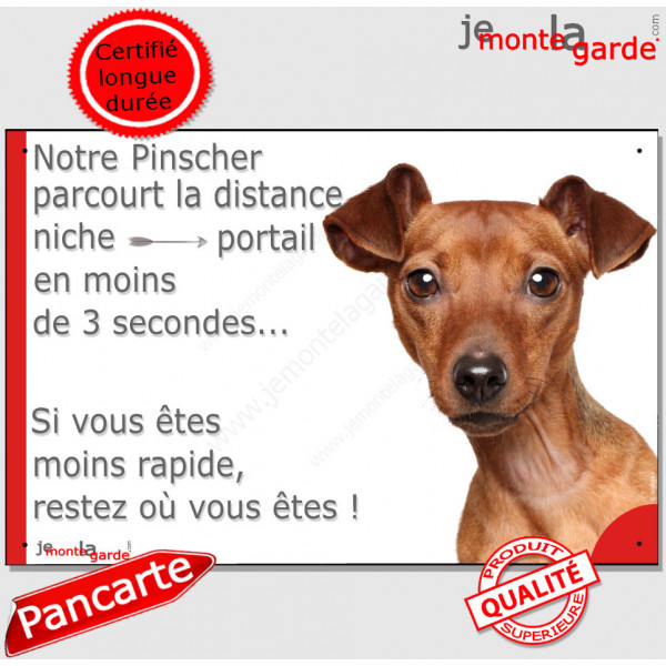 Pinscher Fauve, plaque humour "parcourt distance Niche-Portail moins 3 secondes, rapide" pancarte photo attention au chien