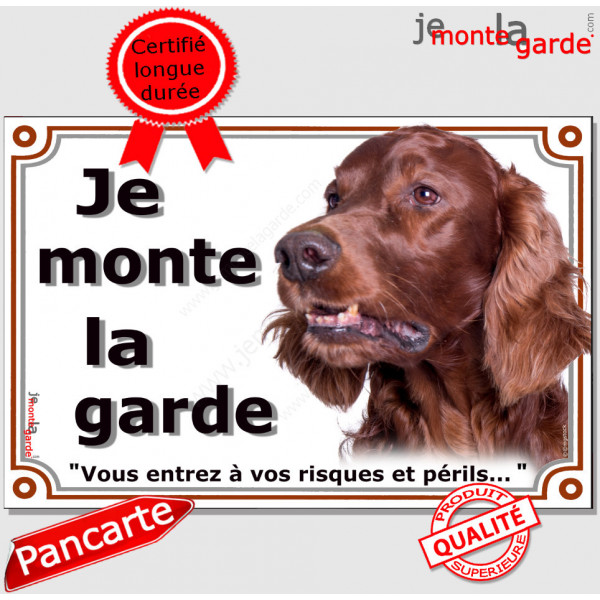 Setter Irlandais Tête, plaque portail "Je Monte la Garde risques périls" pancarte panneau photo affiche