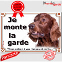 Setter Irlandais, plaque portail "Je Monte la Garde" 24 cm LUX