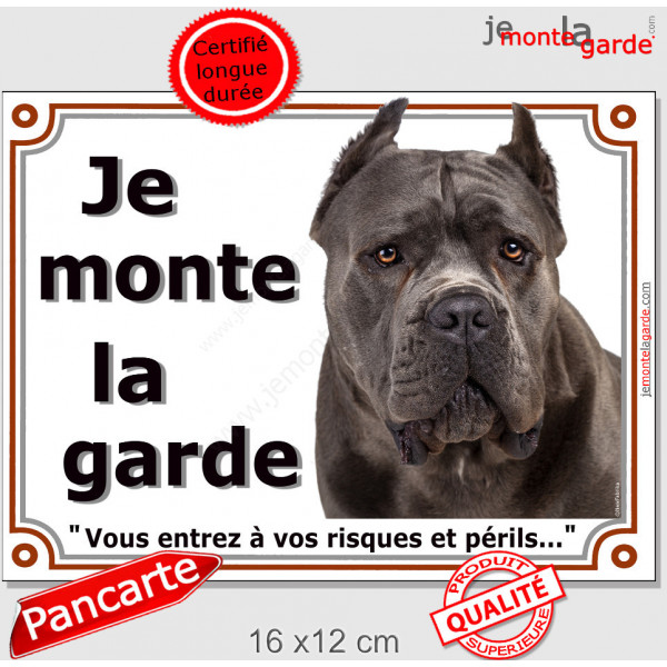 Cane Corso bleu gris Tête, plaque portail "Je Monte la Garde, risques et périls" pancarte photo panneau oreilles coupées taillée