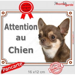 Chihuahua marron chocolat à poils courts, plaque portail "Attention au Chien" pancarte brun dilué panneau photo