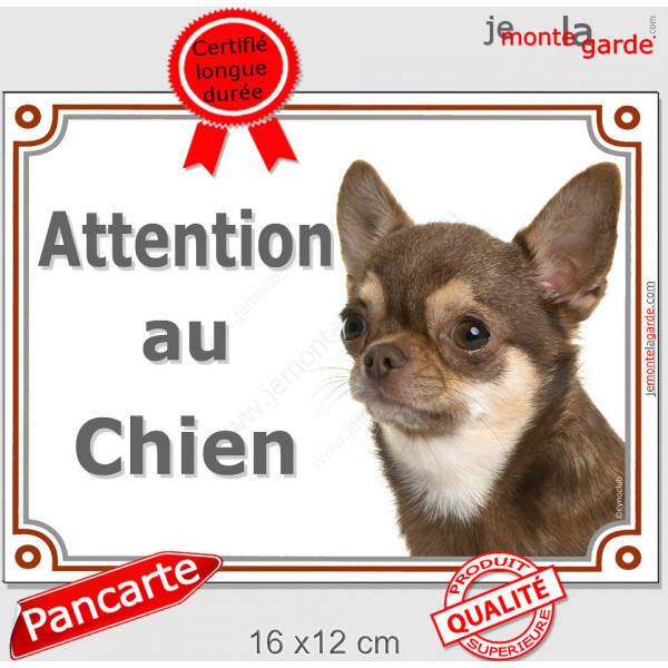 Chihuahua marron chocolat à poils courts, plaque portail "Attention au Chien" pancarte brun dilué panneau photo