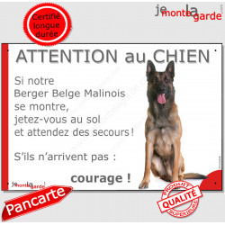 Berger Belge Malinois assis, plaque humour "Attention au Chien, Jetez Vous au Sol" pancarte panneau portail photo