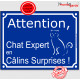 Plaque ou sticker portail bleu humour "Attention au Chat Expert en Câlins Surprises !" pancarte panneau