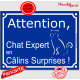 Panneau portail bleu humour "Attention au Chat Expert en Câlins Surprises !" pancarte panneau