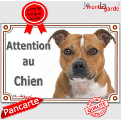 Staffie Fauve lisse blanche, plaque portail "Attention au Chien" pancarte panneau staffy marron photo