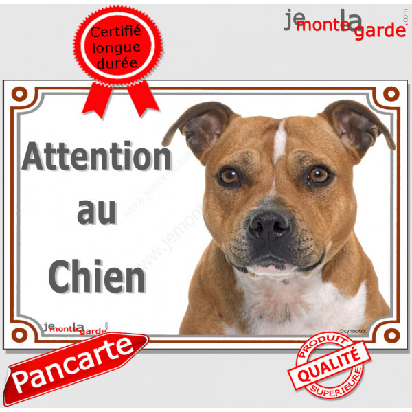 Staffie Fauve lisse blanche, plaque portail "Attention au Chien" pancarte panneau staffy marron photo