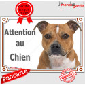 Staffie Fauve, plaque portail "Attention au Chien" 2 tailles LUX D