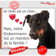 Dobermann noir et feu, sticker autocollant "un chien est un membre de la famille" intérieur ou Extérieur adhésif photo