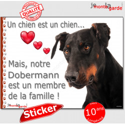 Dobermann noir et feu, sticker autocollant "un chien est un membre de la famille" intérieur ou Extérieur adhésif photo