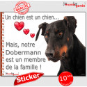 Dobermann noir et feu, sticker photo "Love" 16 cm