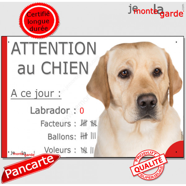 Labrador Sable, pancarte portail drôle "Attention au chien, nombre de Facteurs, Voleurs, Ballons" panneau plaque marrant photo