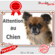 Chihuahua fauve charbonné à poils longs Tête, plaque portail "Attention au Chien" pancarte panneau photo Chiwawa marron