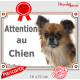 Chihuahua fauve charbonné à poils longs Tête, plaque portail "Attention au Chien" pancarte panneau photo Chiwawa marron