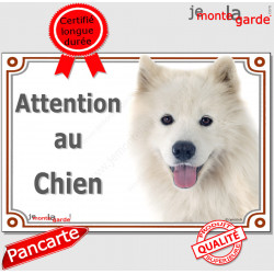 Samoyède, plaque portail "Attention au Chien" pancarte panneau photo