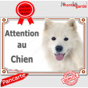 Samoyède, plaque portail "Attention au Chien" 24 cm LUXE