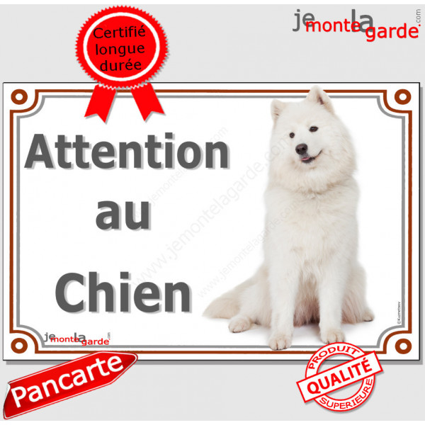 Samoyède assis, plaque portail "Attention au Chien" pancarte panneau photo