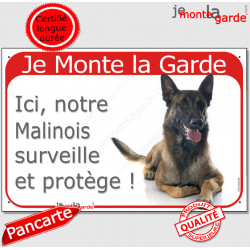 Berger Belge Malinois, plaque portail rouge "Je Monte la Garde, Surveille et protège !" couché pancarte photo attention au chien