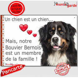 Bouvier Bernois Tête, Plaque "un chien est un membre de la famille" pancarte, affiche panneau photo