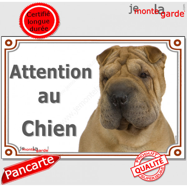 Shar-Peï fauve marron, plaque portail "Attention au Chien" pancarte panneau photo Sharpei