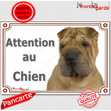 Shar-Peï fauve, plaque portail "Attention au Chien" 24 cm LUXE C