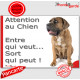 Cane Corso Italiano fauve, plaque portail humour "Attention au Chien, Entre qui veut..." pancarte photo drôle panneau marrant