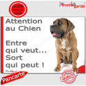 Cane Corso fauve, Plaque humour "Attention au Chien, Entre qui veut..." 24 cm EQV