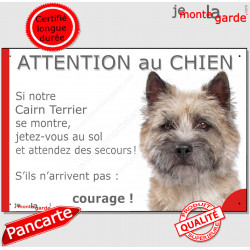 Cairn Terrier fauve, plaque portail humour "Attention au Chien, Jetez Vous au Sol, secours, courage" Pancarte rue drôle sable