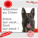 Malinois, plaque "Attention au Chien, Entre qui veut..." 24 cm EQV