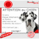 Dogue Allemand Arlequin, plaque portail humour "Attention au Chien, Jetez Vous au Sol, attendez secours, courage" photo Danois