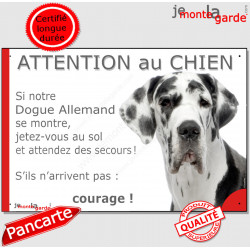 Dogue Allemand Arlequin, plaque portail humour "Attention au Chien, Jetez Vous au Sol, attendez secours, courage" photo Danois