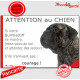 Bullmastiff bringé, plaque portail humour "Attention au Chien, Jetez Vous au Sol, attendez secours courage" pancarte drôle photo